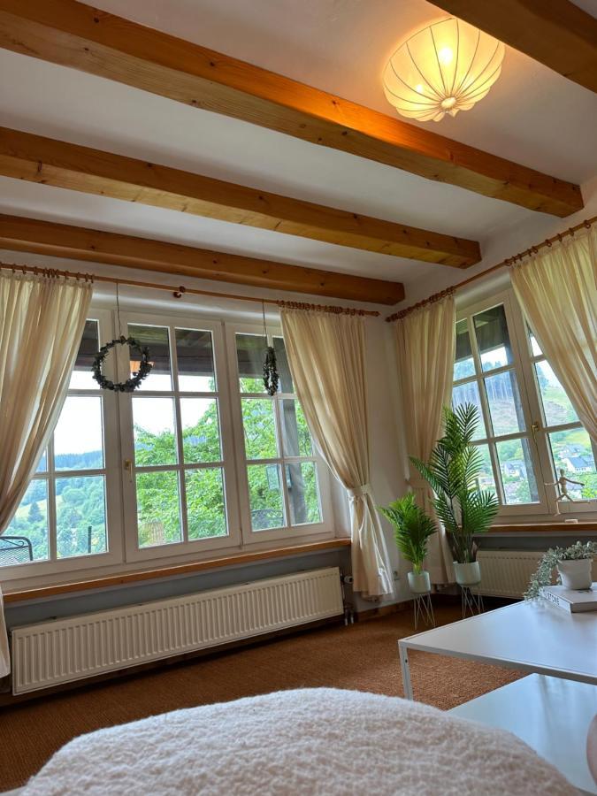 Urlaubsschmiede Apartment Winterberg